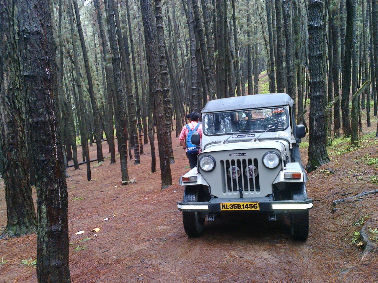 Vagamon Pinevalley Mistywindvalley Resort