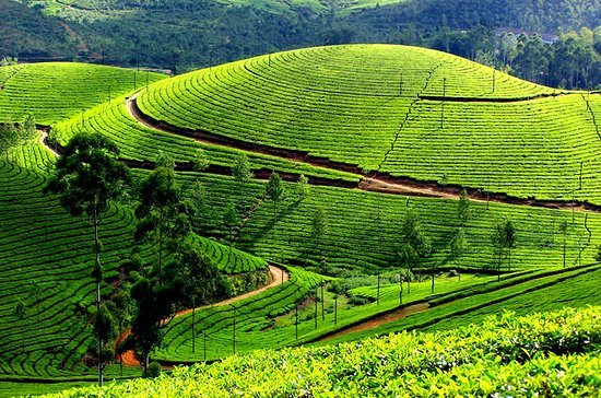 munnar